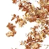 AV Plants Crataegus Pinnatifida Hawthorn Version02 - Thumbnail 7