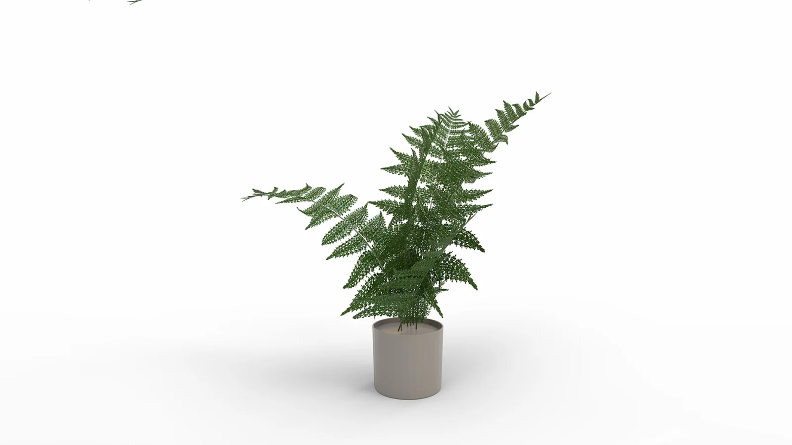 Faux Plants - Image 5