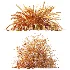 ntal grasses. These elegant groundcover species are valued for their refined texture, compact growth habit, and exceptional versatility in contemporary landscape architecture, Japanese gardens, urban parks, courtyards, and high-end residential projects. - Thumbnail 13