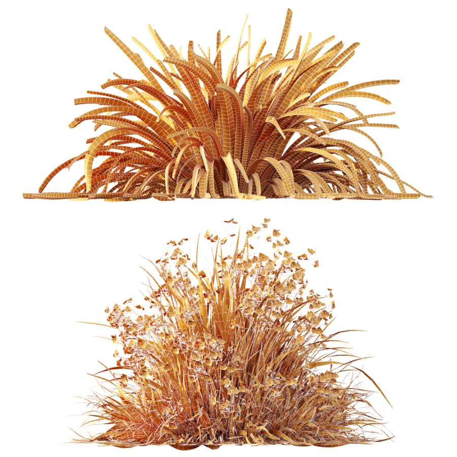 ntal grasses. These elegant groundcover species are valued for their refined texture, compact growth habit, and exceptional versatility in contemporary landscape architecture, Japanese gardens, urban parks, courtyards, and high-end residential projects. - Image 13