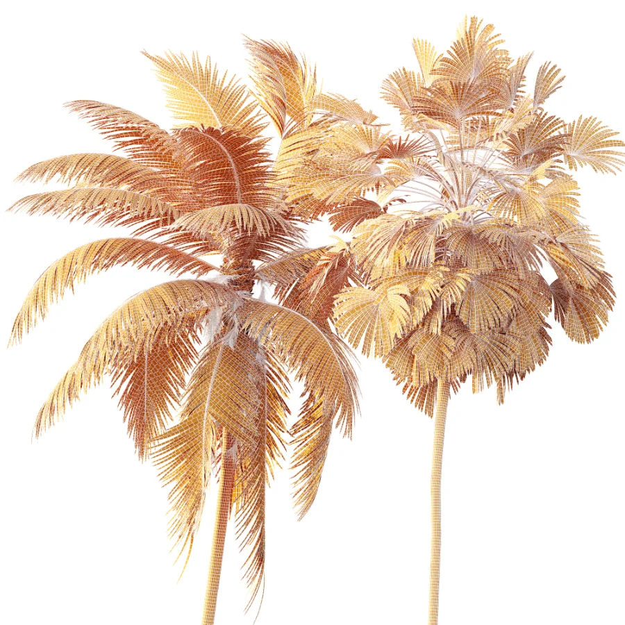 AV Borassus Flabellifer and Cocos Nucifera Windy palms - Image 12