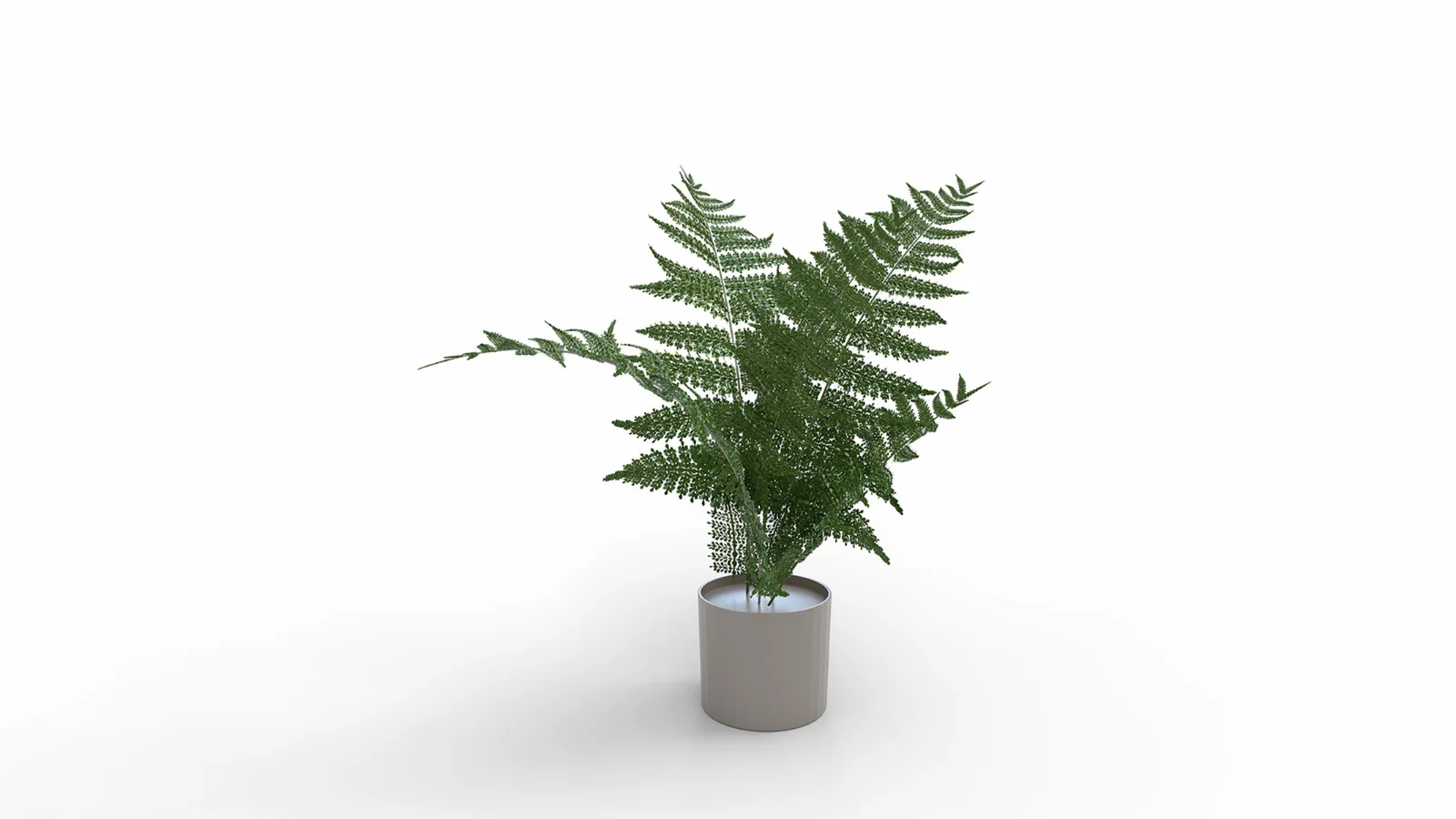 Faux Plants - Image 3