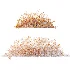 AV Stipa arundinacea Anemanthele lessoniana and Stipa arundinacea Sweet Grass - Thumbnail 10