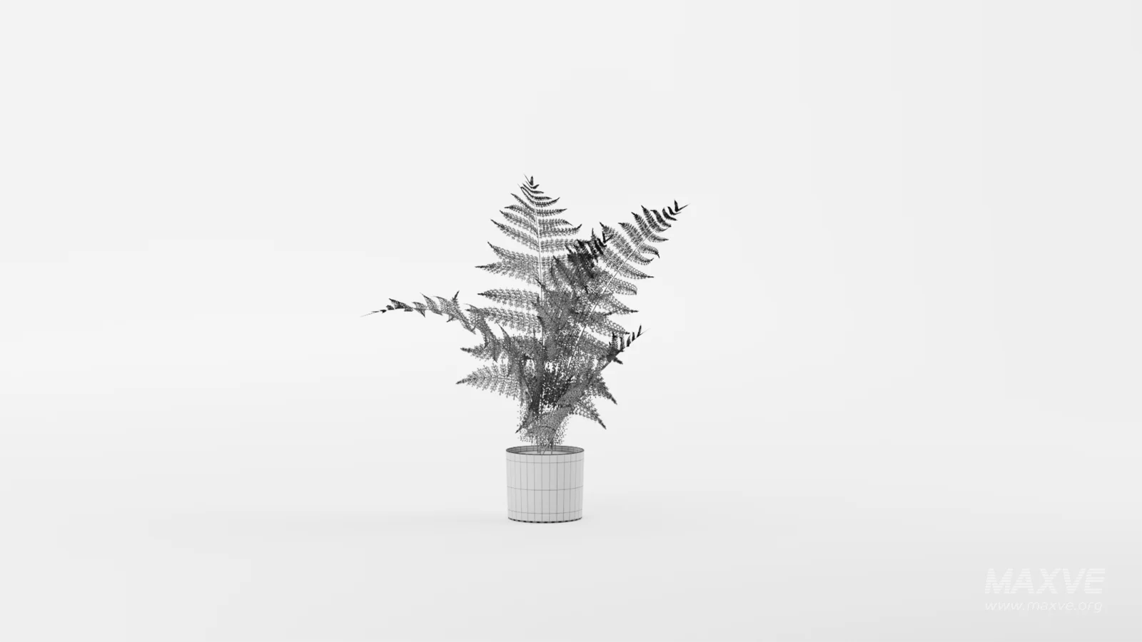 Faux Plants - Image 9