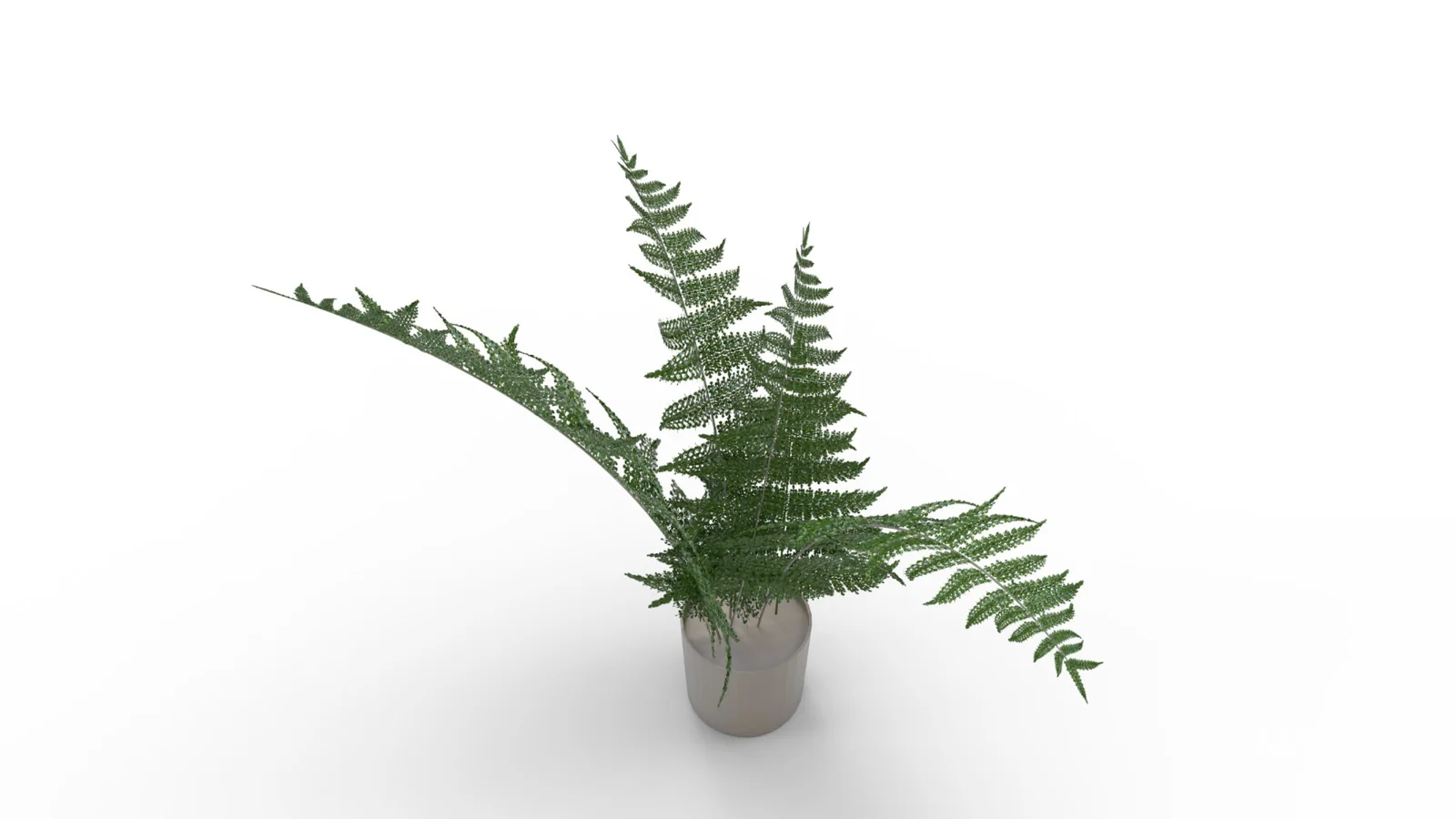 Faux Plants - Image 4