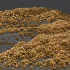 AV Carex Testacea Orange Sedge Grass Prairie Fire and Molinia Caerulea Heidebraut Kleines Pfeifengras - Thumbnail 5