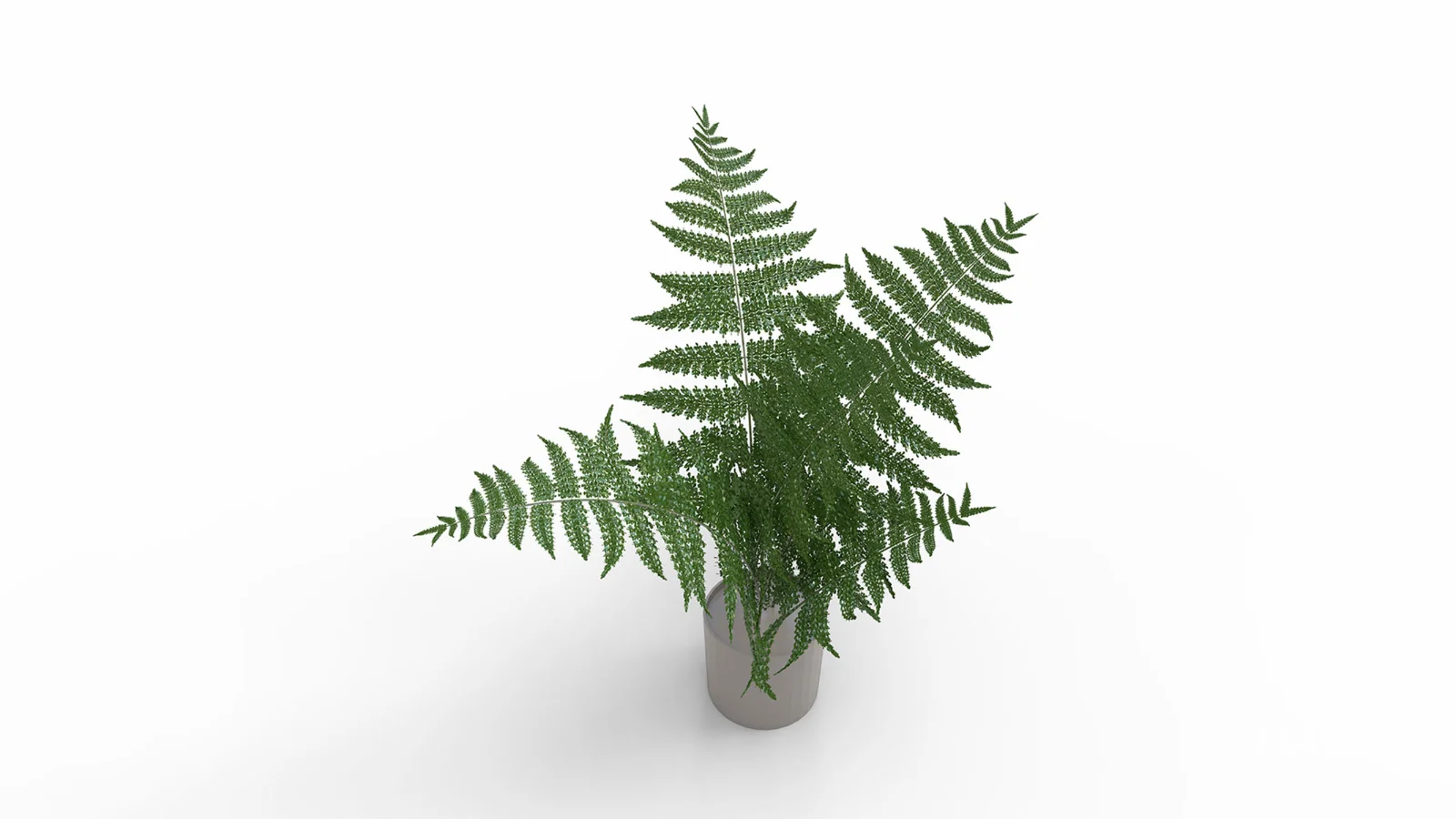 Faux Plants - Image 1