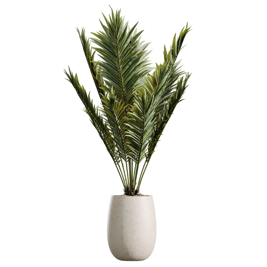 AV Indoor Plants Set 451 Olive Elegant and Ficus Dracaena Marginata and Cyara Areca Palm - Image 1