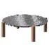 Turtle P Coffee Table - Thumbnail 3