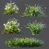 ntal grasses. These elegant groundcover species are valued for their refined texture, compact growth habit, and exceptional versatility in contemporary landscape architecture, Japanese gardens, urban parks, courtyards, and high-end residential projects. - Thumbnail 12
