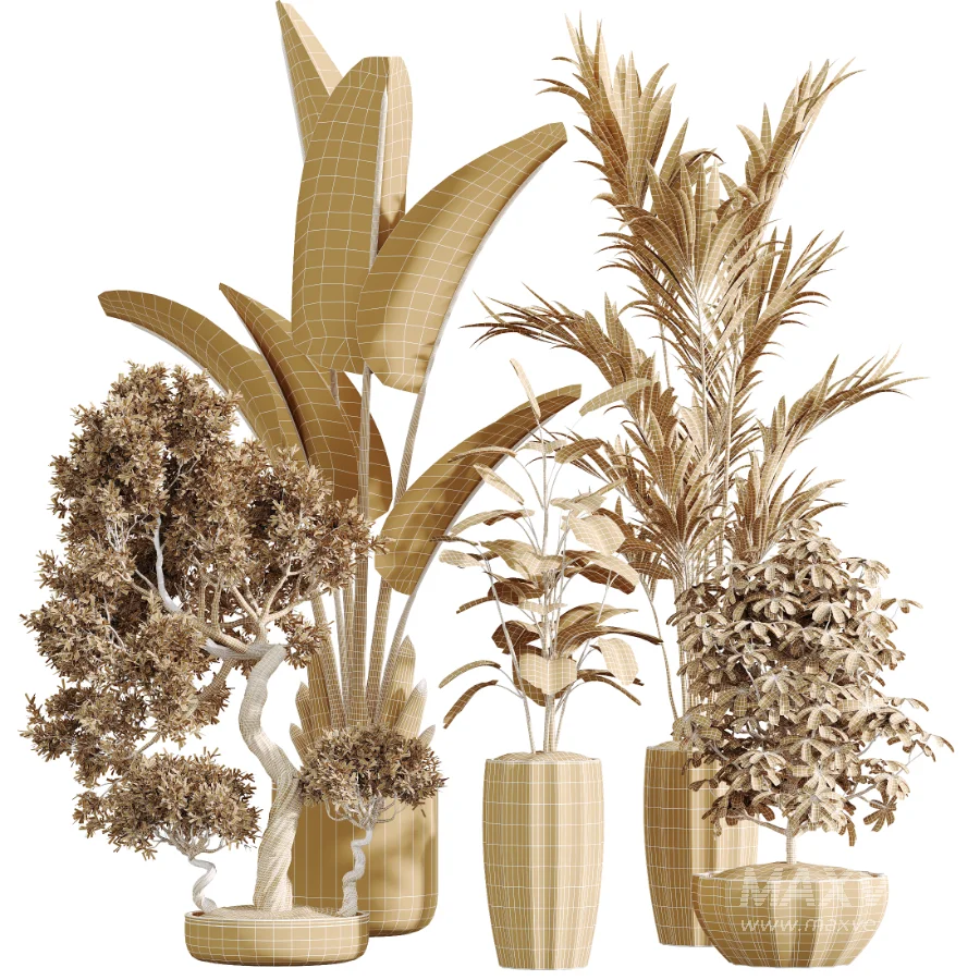 AV Indoor Plants Set 455 Schefflera Arboricola and Cat Reed Palm and Bird Of Paradise and Chemlali Olive Tree and Ficus lyrate - Image 6