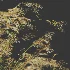 AV Celtica Gigantea Stipa Golden Oats and Stipa Tenuissima Ostnica Mocna Pony Tails - Thumbnail 1