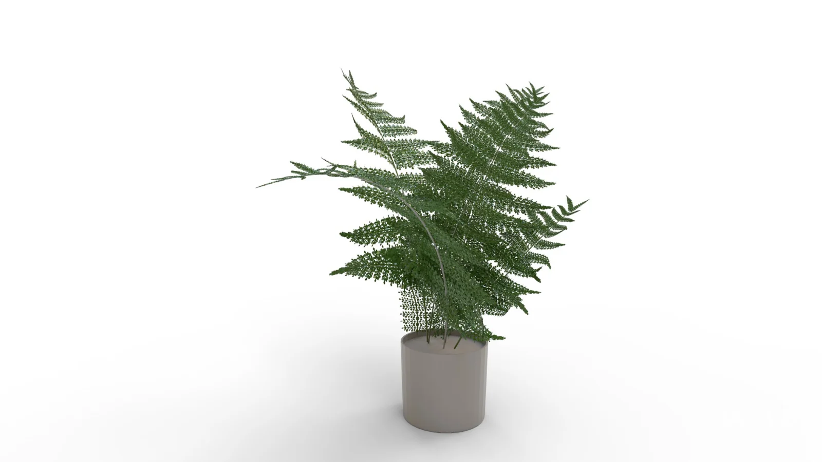 Faux Plants - Image 8