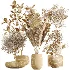 AV Indoor Plants Set 451 Olive Elegant and Ficus Dracaena Marginata and Cyara Areca Palm - Thumbnail 8