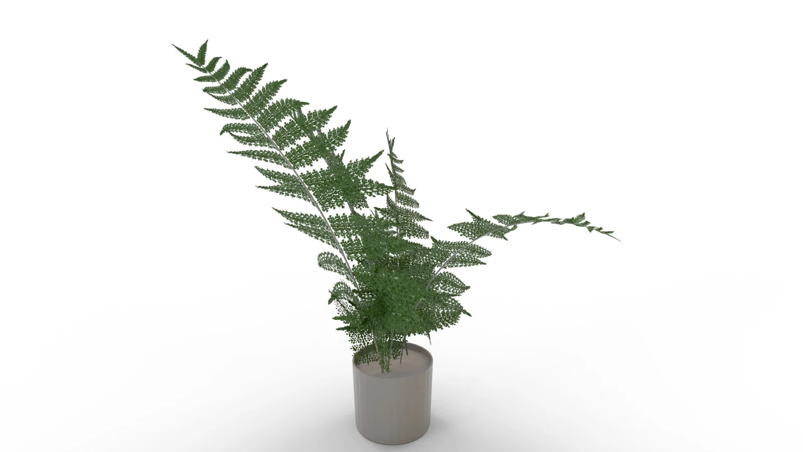 Faux Plants - Image 6