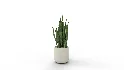 Artificial Snake Plant Plantin Planter - Thumbnail 1
