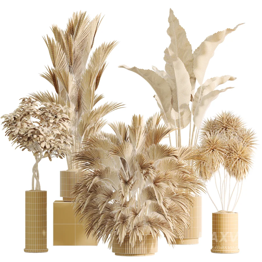 AV Indoor Plants Set 461 Yucca Elephantipe and Cat Reed Palm and Bird Of Paradise and Schefflera Arboricola - Image 8