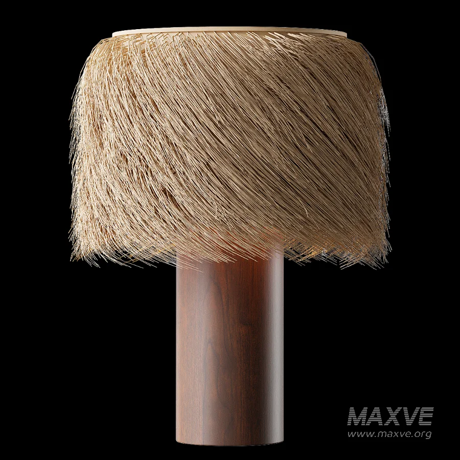 Amani Raffia Table Lamp - Image 2