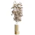 AV Indoor Plants Set 465 Coconut Palm and Cyara Areca Palm and Chemlali Olive Tree and Orange Calamondin Tree - Thumbnail 3