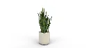 Artificial Snake Plant Plantin Planter - Thumbnail 7