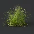 AV Celtica Gigantea Stipa Golden Oats and Carex Elata Aurea Grass - Thumbnail 5