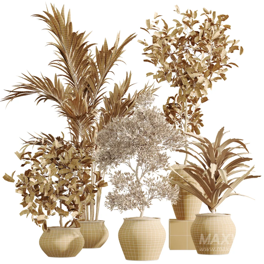 AV Indoor Plants Set 452 Dracaena Lemon Cane and Chemlali Olive and Briful Pachira and Areca Cat Reed Palm - Image 7