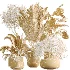 AV Indoor Plants Set 471 Chemlali Olive and Giant Monstera and Cyara Areca Palm and Ravenala Banana - Thumbnail 9