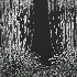 AV Calamagrostis Acutiflora Karl Foerster - Thumbnail 8