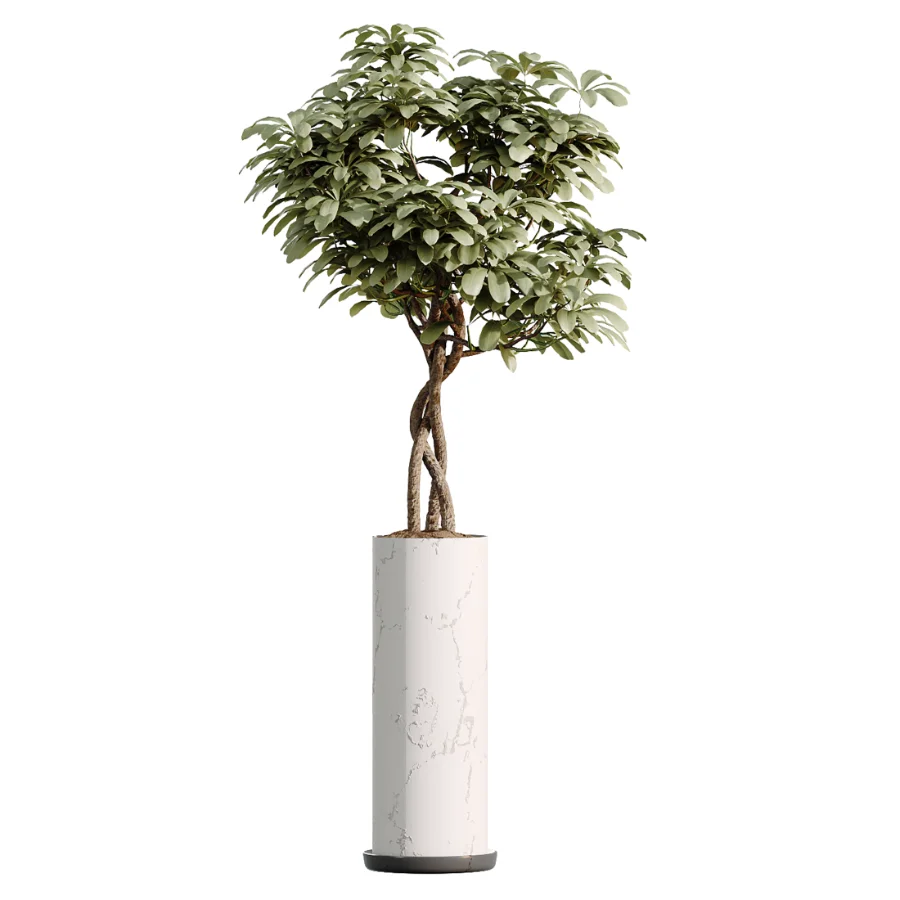 AV Indoor Plants Set 461 Yucca Elephantipe and Cat Reed Palm and Bird Of Paradise and Schefflera Arboricola - Image 1