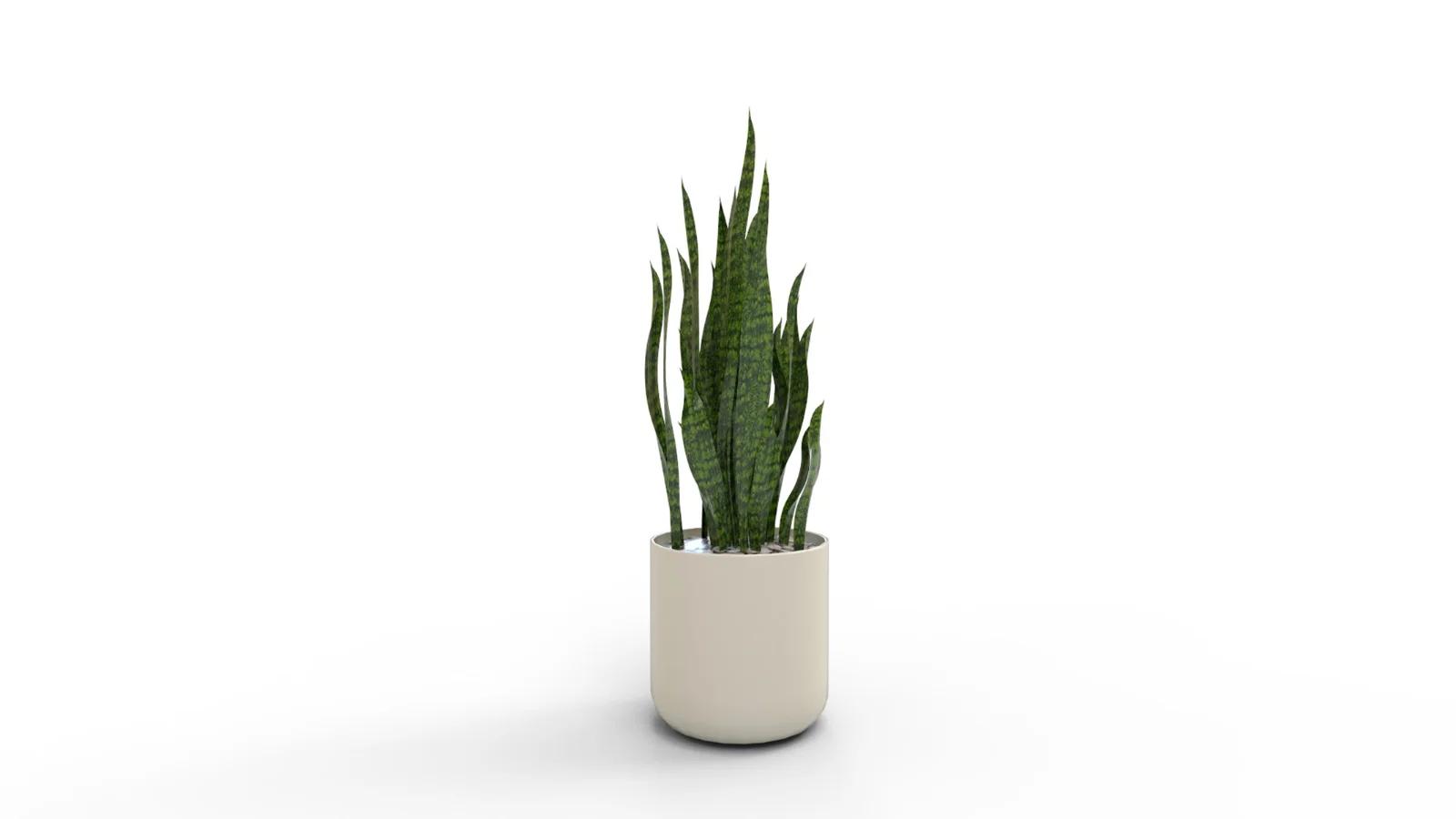 Artificial Snake Plant Plantin Planter - Image 6