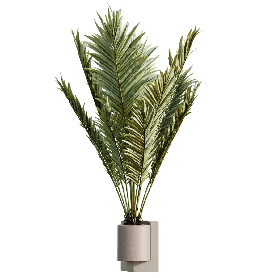 AV Indoor Plants Set 463 Ficus lyrata and Cyara Areca Palm and Aspidistra Elatio and Ficus Dracaena Marginata - Image 4