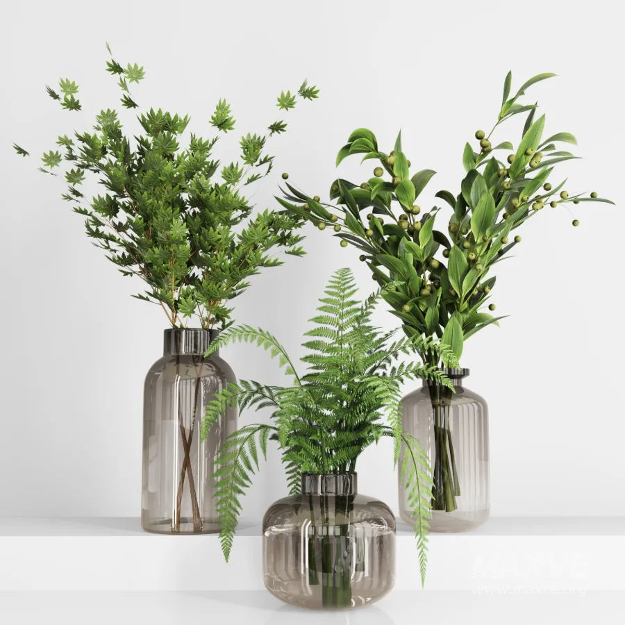 Plant Collection 017 - Image 4