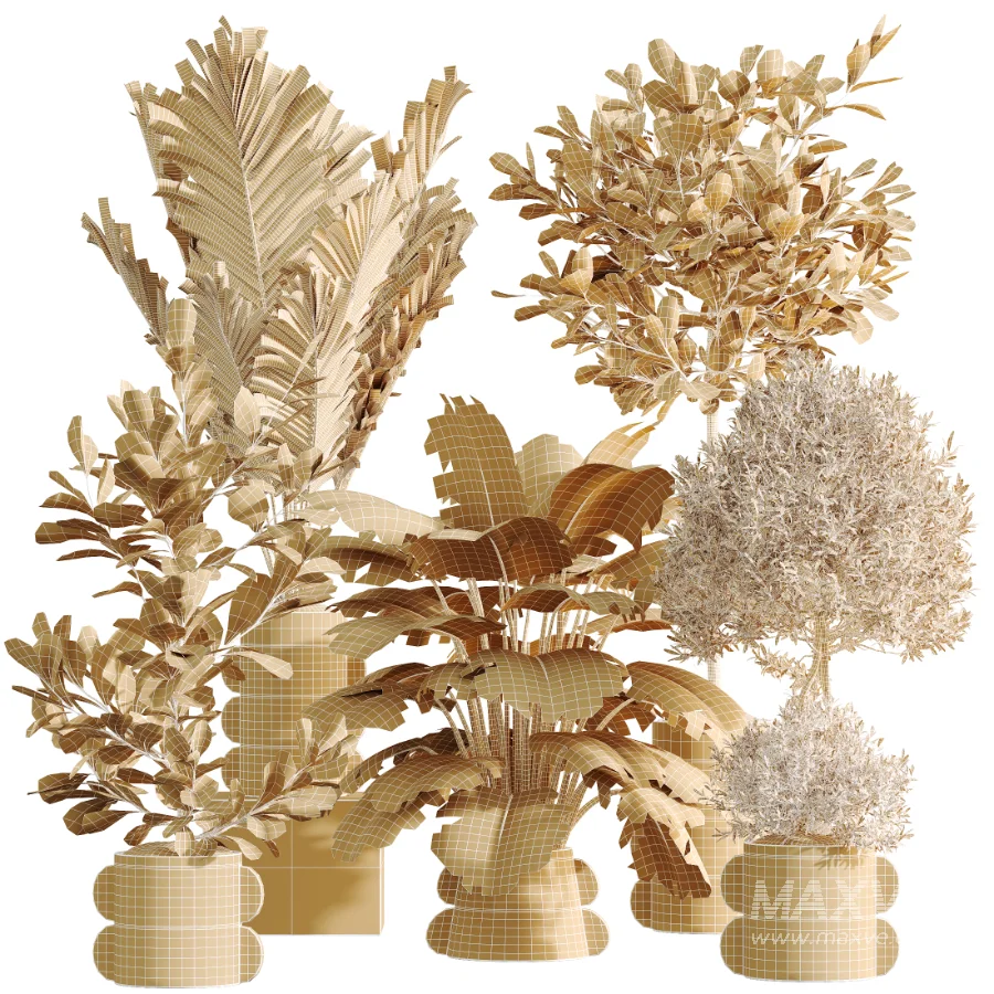 AV Indoor Plants Set 479 Olive Elegant Monstera Ficus Palm - Image 10