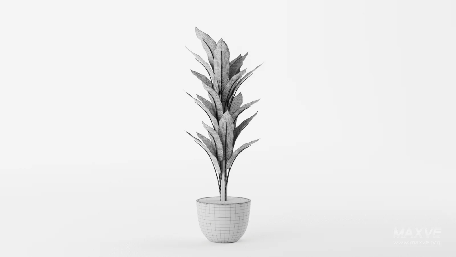 Banana Leaf Tree in Planter - Image 11