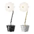 Aromas Del Campo Flow Table Lamp - Thumbnail 2