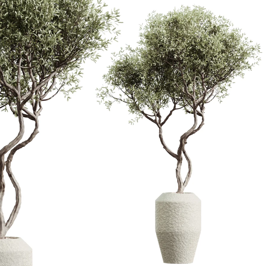 AV Indoor Plants Set 480 Olive Palm ParadiseBird Yucca - Image 1