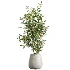 AV Indoor Plants Set 490 Yucca Olive Artificial Rhapis Orange Palm - Thumbnail 3