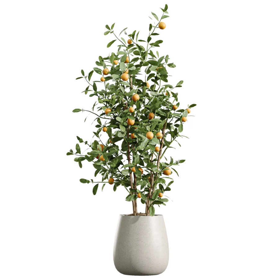 AV Indoor Plants Set 490 Yucca Olive Artificial Rhapis Orange Palm - Image 3
