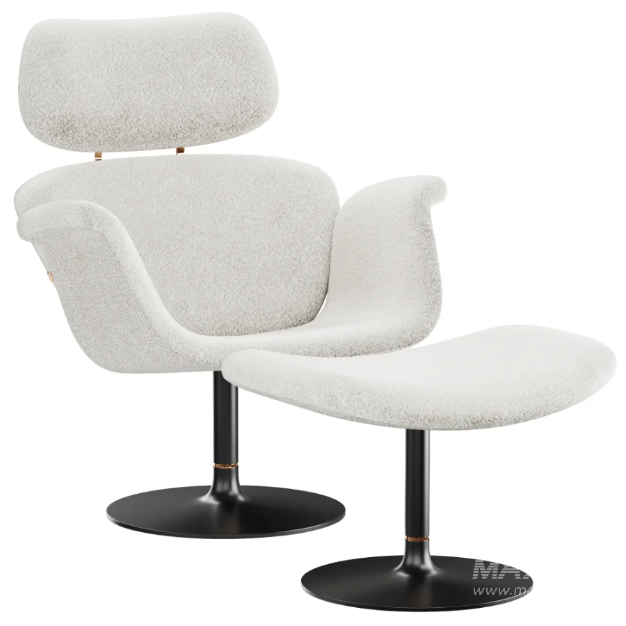 Tulip_Chair_from_Artifort - Image 1