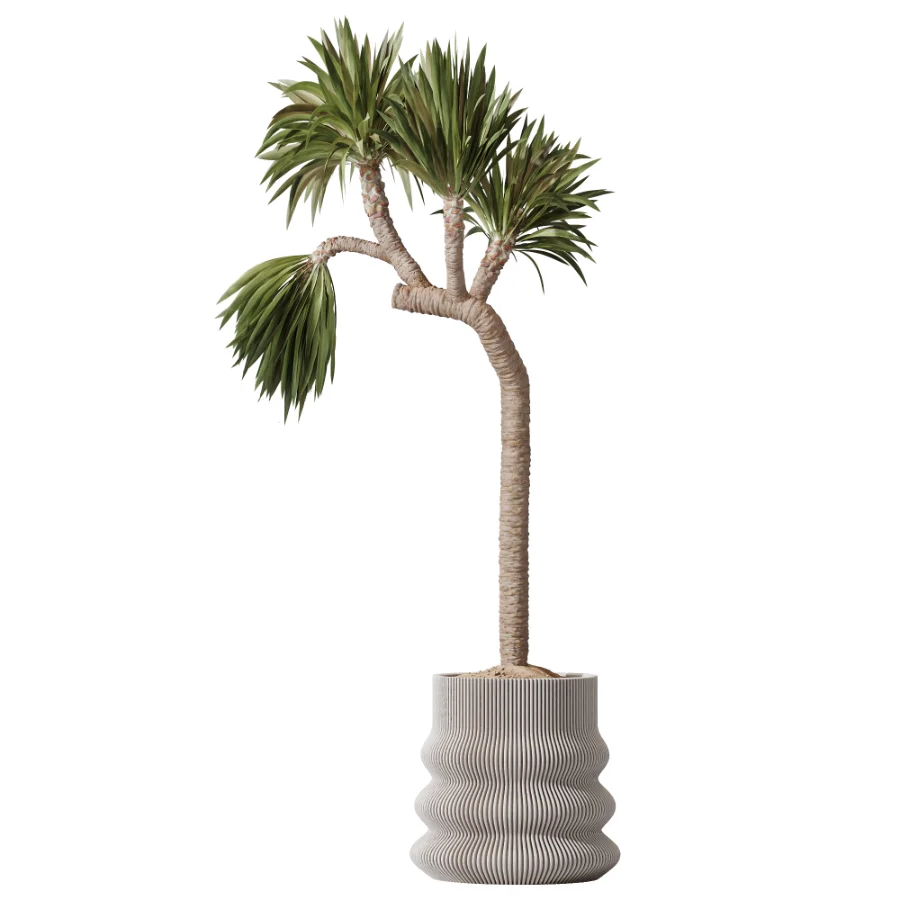 ntal plant species to create a balanced composition suitable for modern interiors, outdoor environments, and high-end architectural scenes. - Image 2