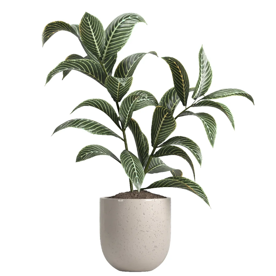indoor plant 047 - Image 3