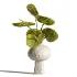 Burgundy and Olive Anthurium 61 - Thumbnail 2