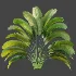 AV Plant Strelitzia Nicolai Palm Bush 01 - Thumbnail 6