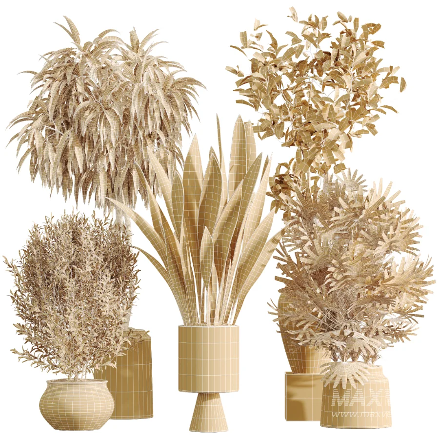 AV Indoor Plants Set 481 Palm Pachira Sansevieria Ficus Olive - Image 7