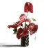 Burgundy Anthurium Arrangement 60 - Thumbnail 3