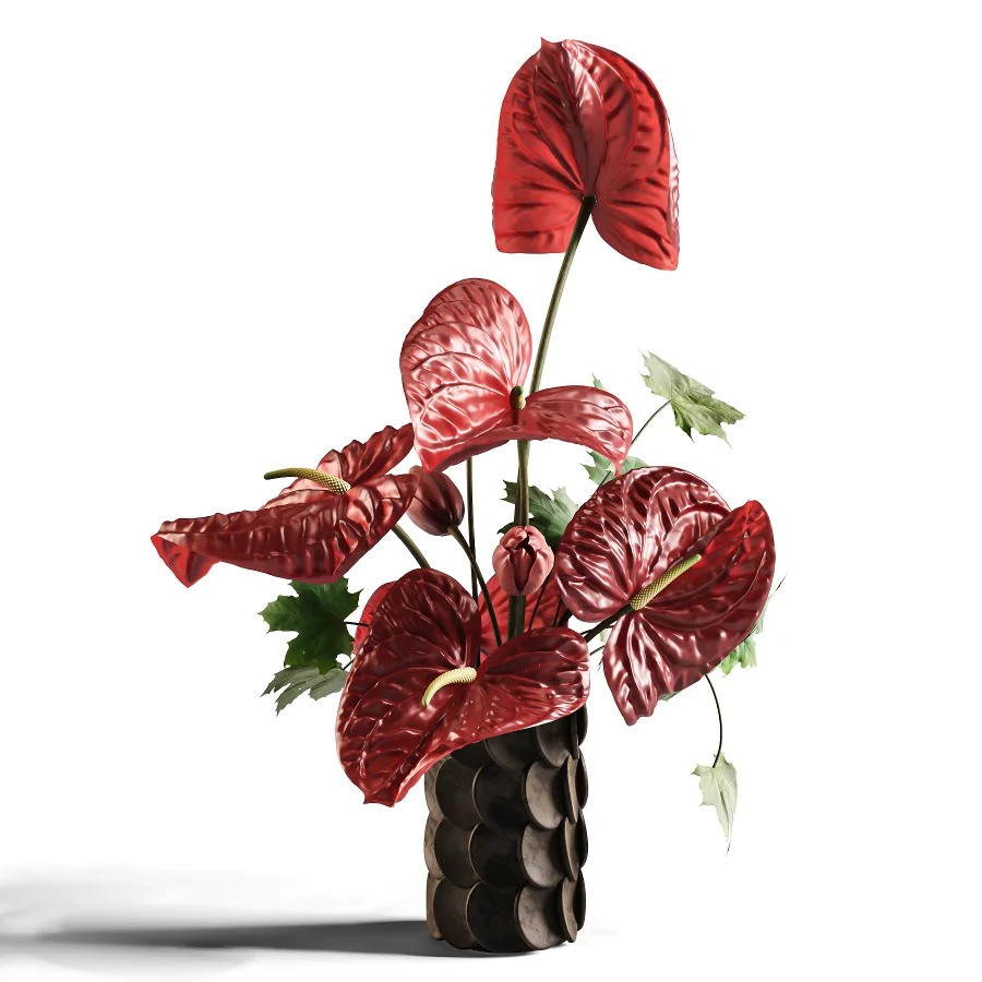 Burgundy Anthurium Arrangement 60 - Image 3
