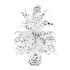 Strelitzia nicolai plant - Thumbnail 4