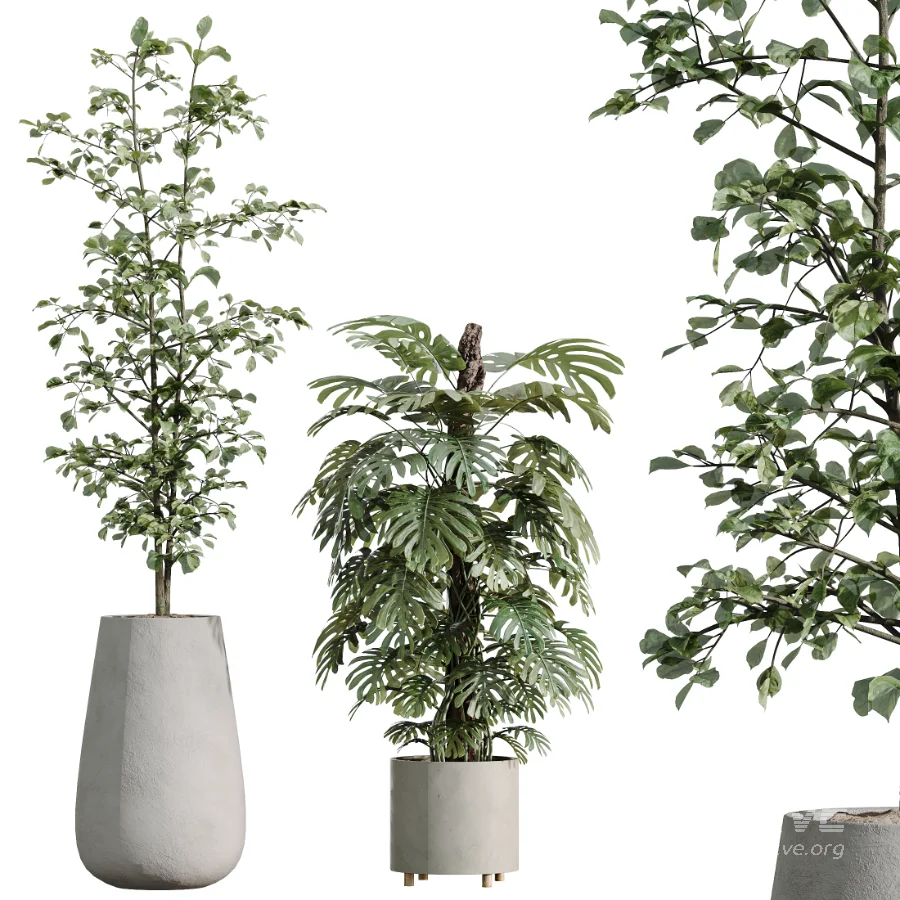 ntal greenery, making it an excellent choice for luxury interiors, hospitality spaces, commercial environments, and architectural landscape scenes. - Image 5