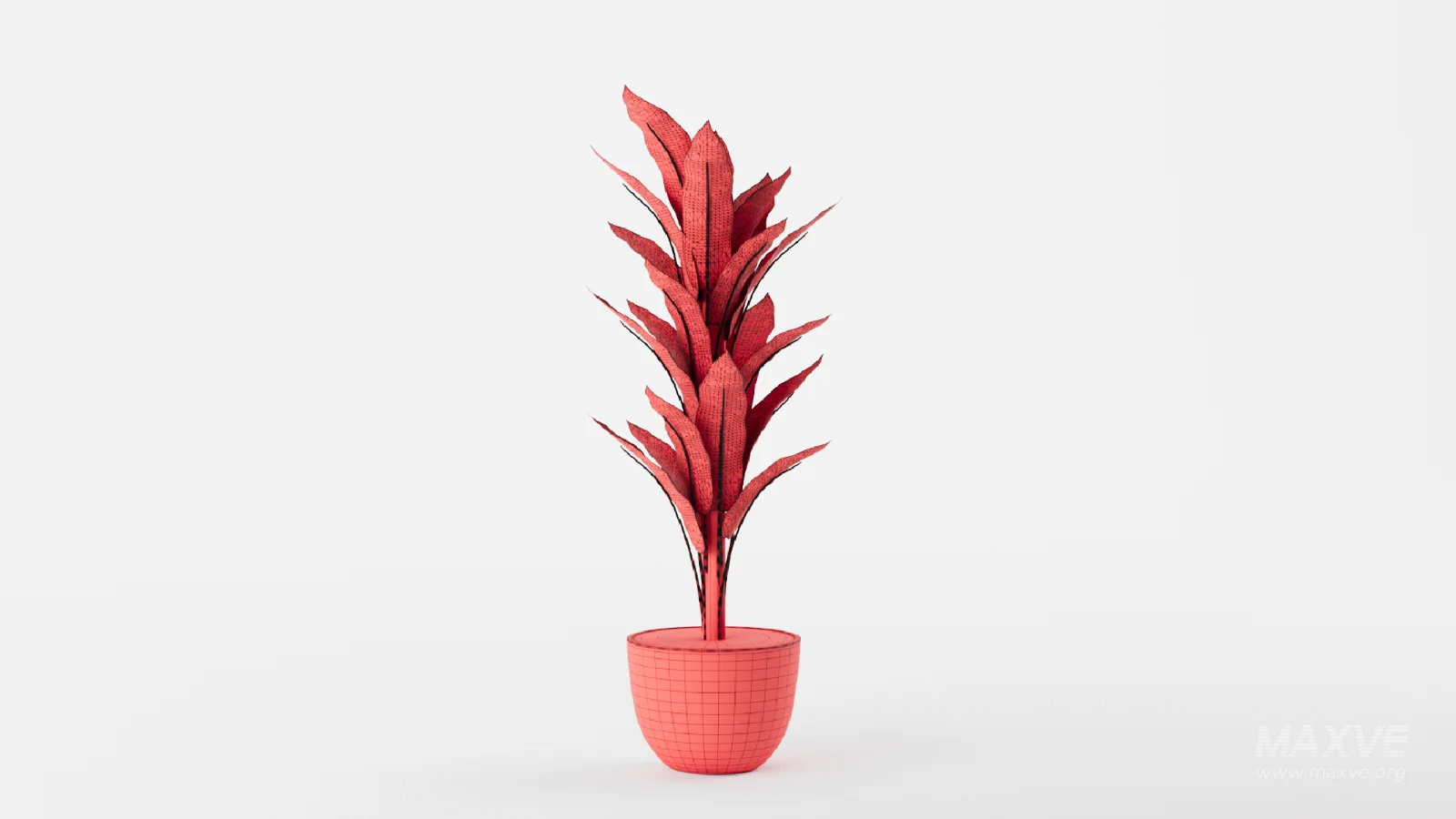Banana Leaf Tree in Planter - Image 3
