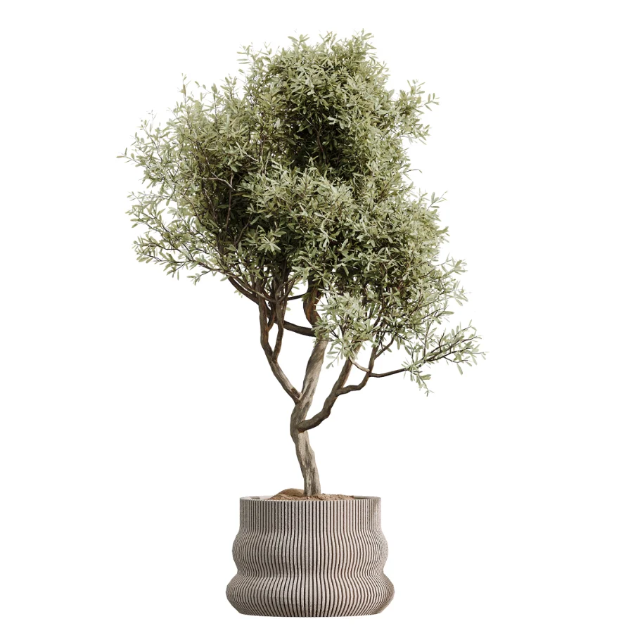 ntal plant species to create a balanced composition suitable for modern interiors, outdoor environments, and high-end architectural scenes. - Image 4